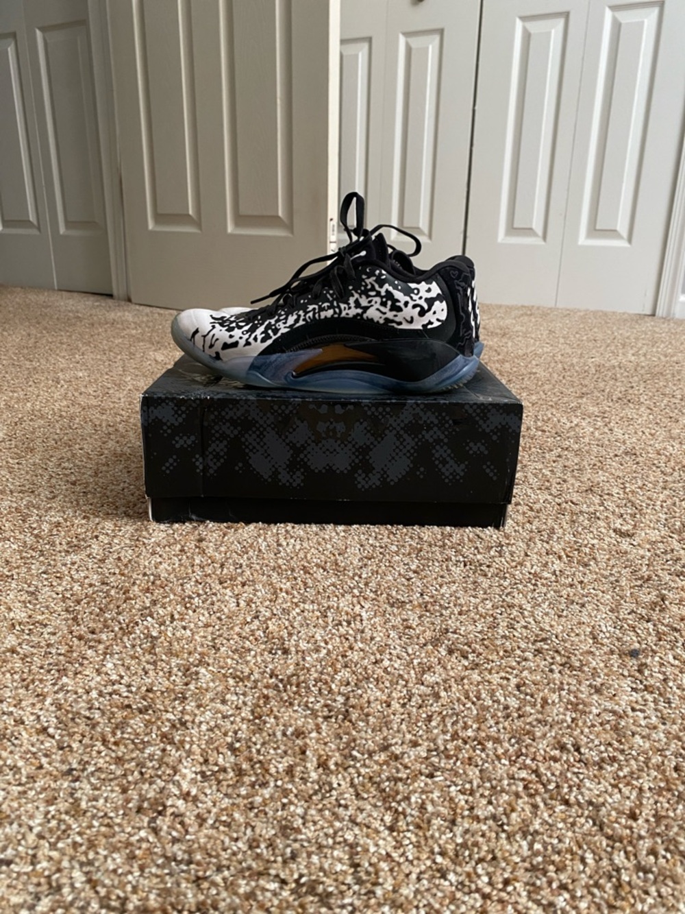 Jordan Zion’s